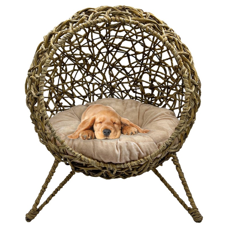 Elevated Weaved Cat Bed with Cushion