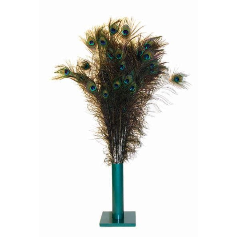 Natural Peacock Feathers