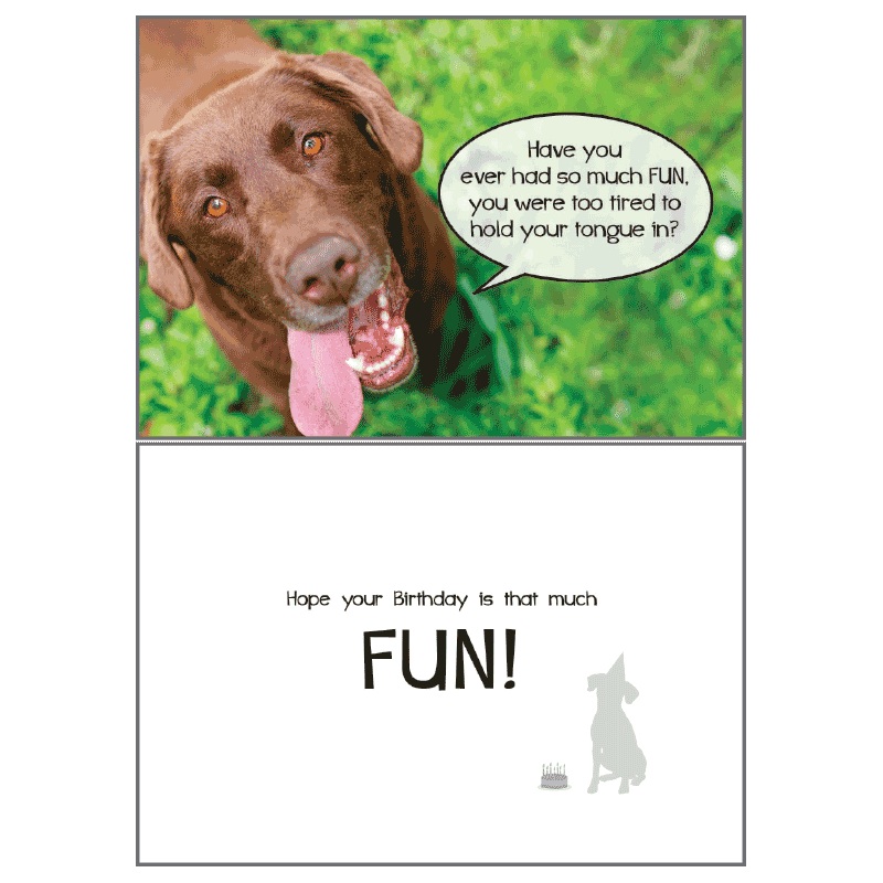 So Much Fun Birthday Card