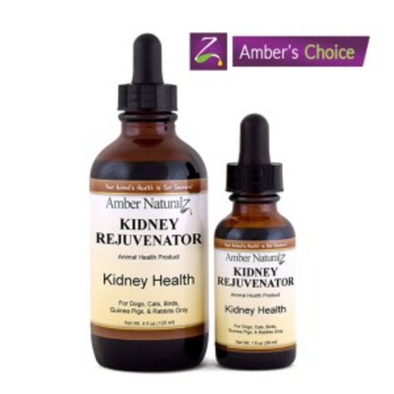 Amber Naturalz Kidney Rejuvenator 1fl oz