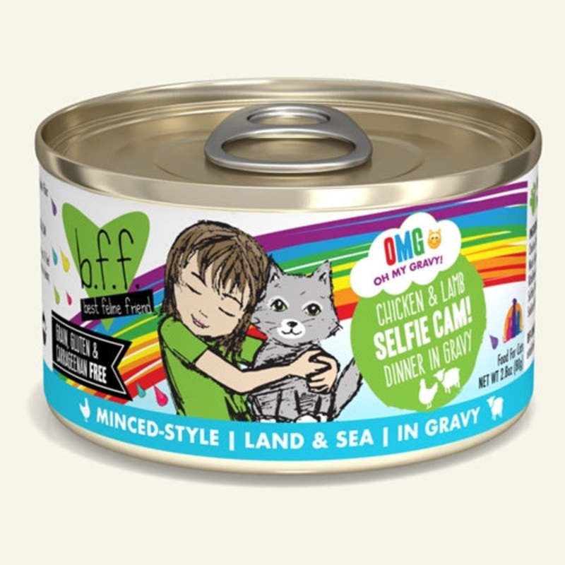 Weruva OMG Selfie Cam Canned Cat Food