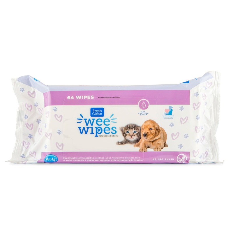 Fresh 'n Clean Wee Wipes, 64 ct