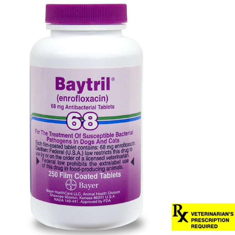 Rx Baytril for Dogs and Cats (Tablets)