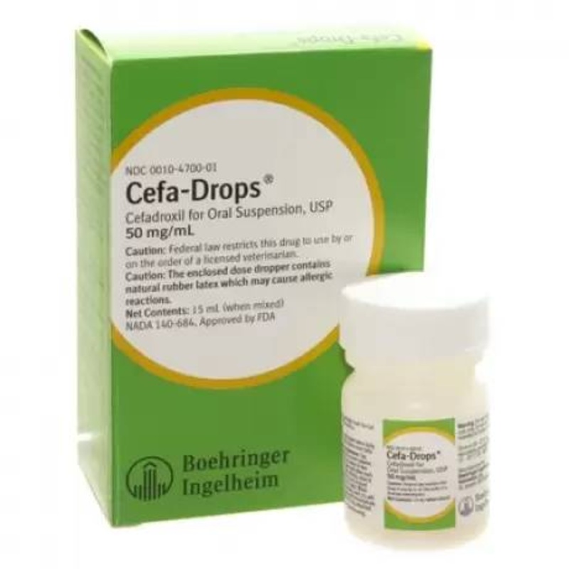 Rx Cefa-Drops (cefadroxil) for Cats & Dogs, 50mg/ml x 15ml