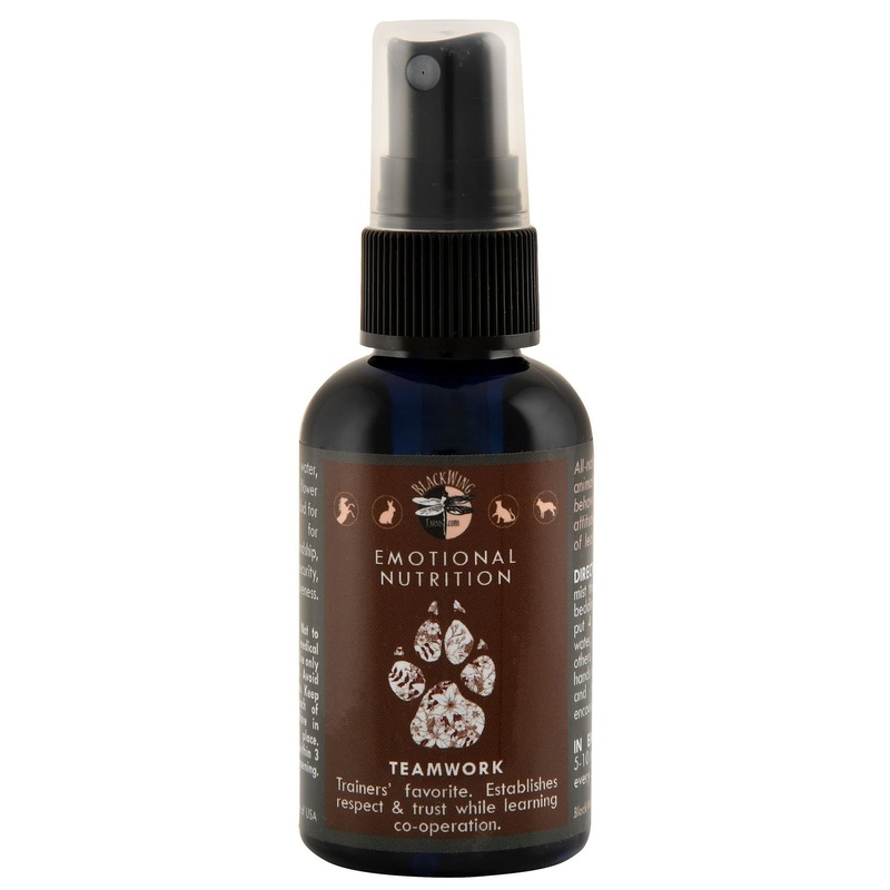 Teamwork - Flower Essence Remedy for Dogs, Cats, & Horses, 2 oz