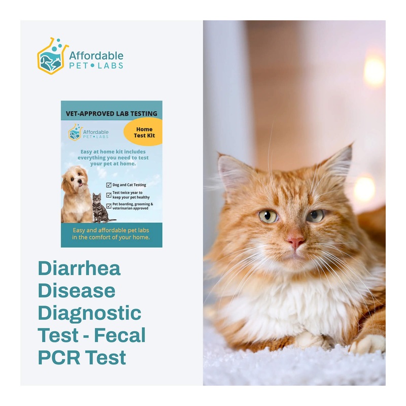 Affordable Pet Labs - Diarrhea Disease Diagnostic Test - Fecal PCR Test For Cats, Easy Home Kit