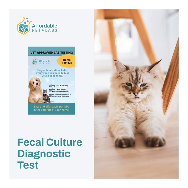 Affordable Pet Labs - Fecal Culture Diagnostic Test For Cats, Easy Home Kit