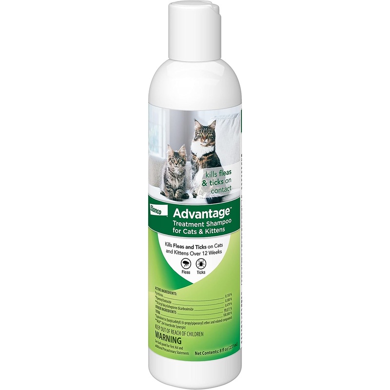 Advantage Treatment Shampoo for Cats & Kittens, 8 oz