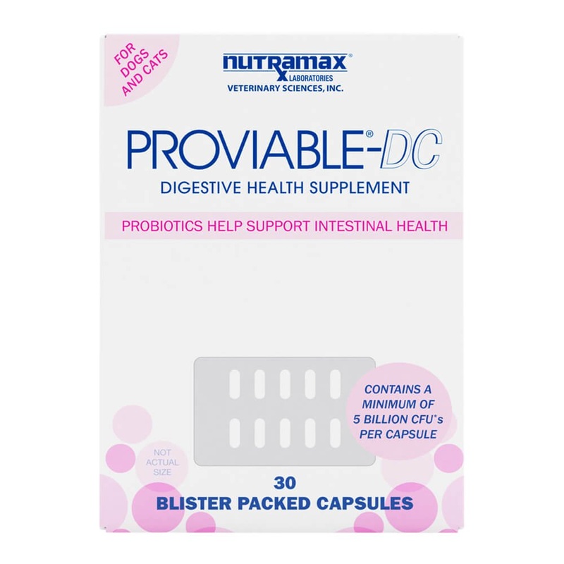 Nutramax Proviable-DC for Dogs & Cats