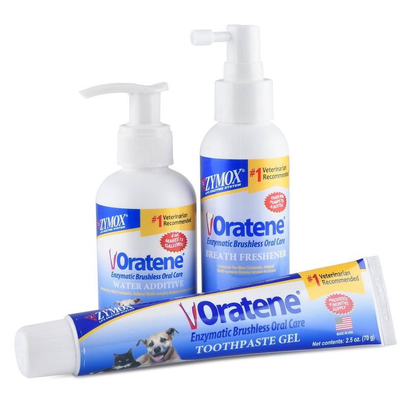 Oratene Complete Oral Care Kit