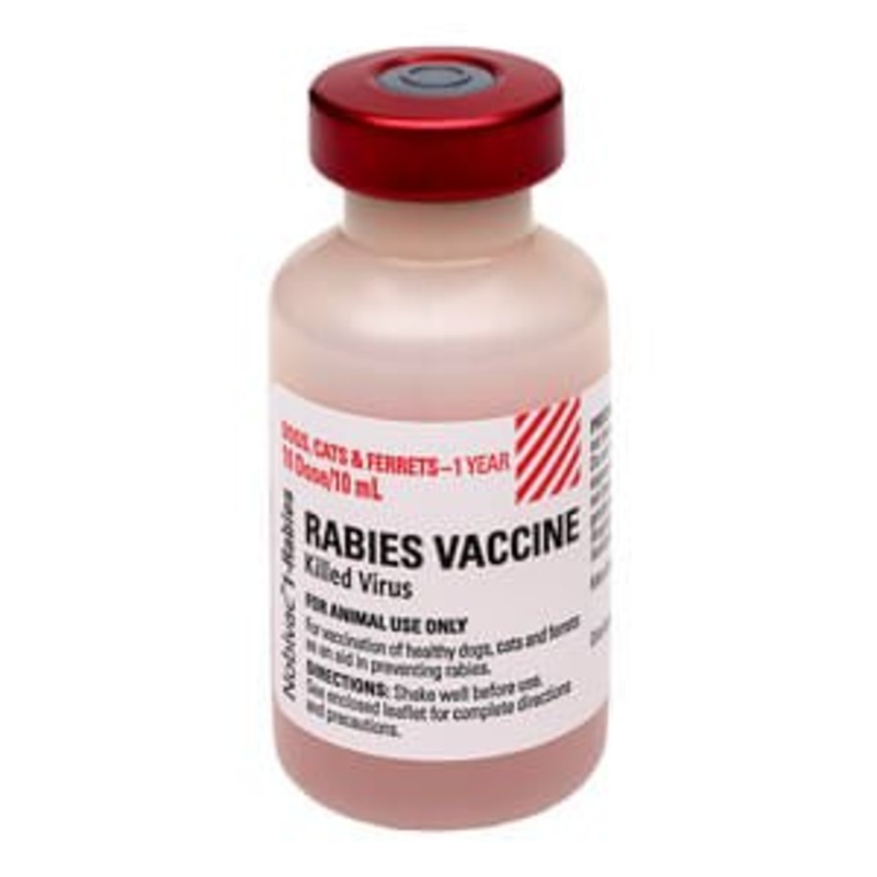 Rx Nobivac 1-Rabies Vaccine for Dogs & Cats, 10 mL Vial, No Tags