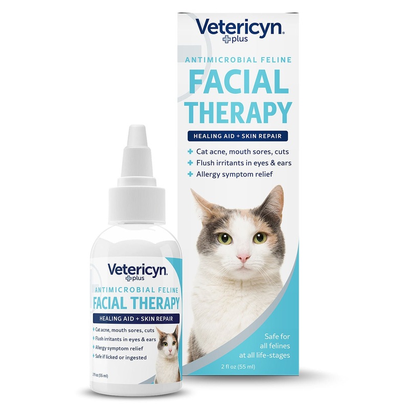 Feline Antimicrobial Facial Therapy