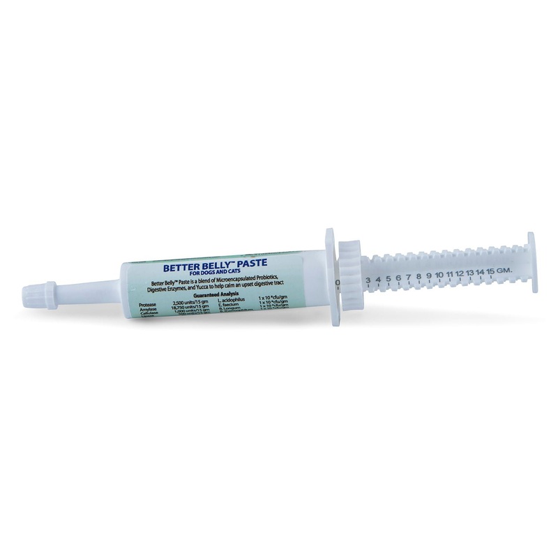 Prothrive Better Belly Paste, 15 gm
