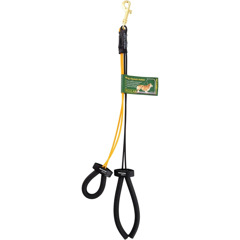 Proguard No-Sit Haunch Holder