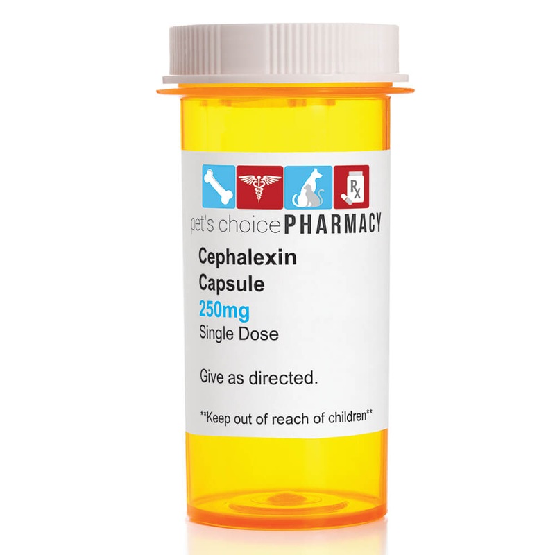 Rx Cephalexin (Generic) Capsules for Dogs & Cats