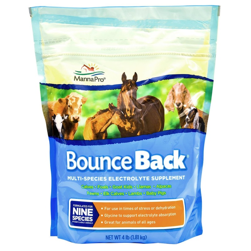 Bounce Back Multi-Species Electrolyte Supplement