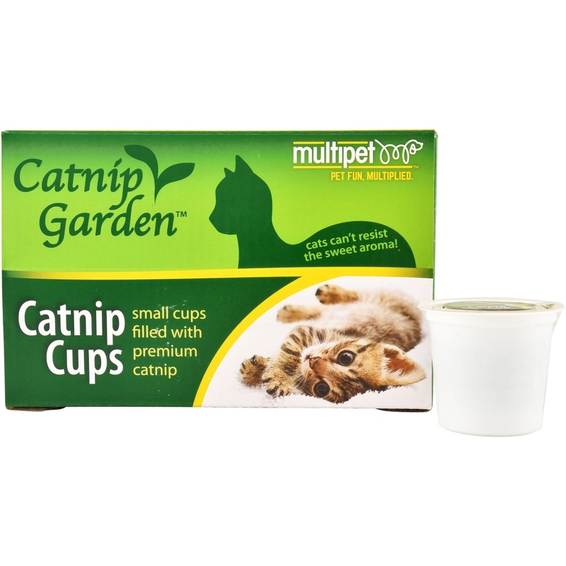 Catnip Garden Catnip