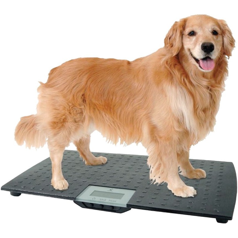 Large Digital Pet Scale