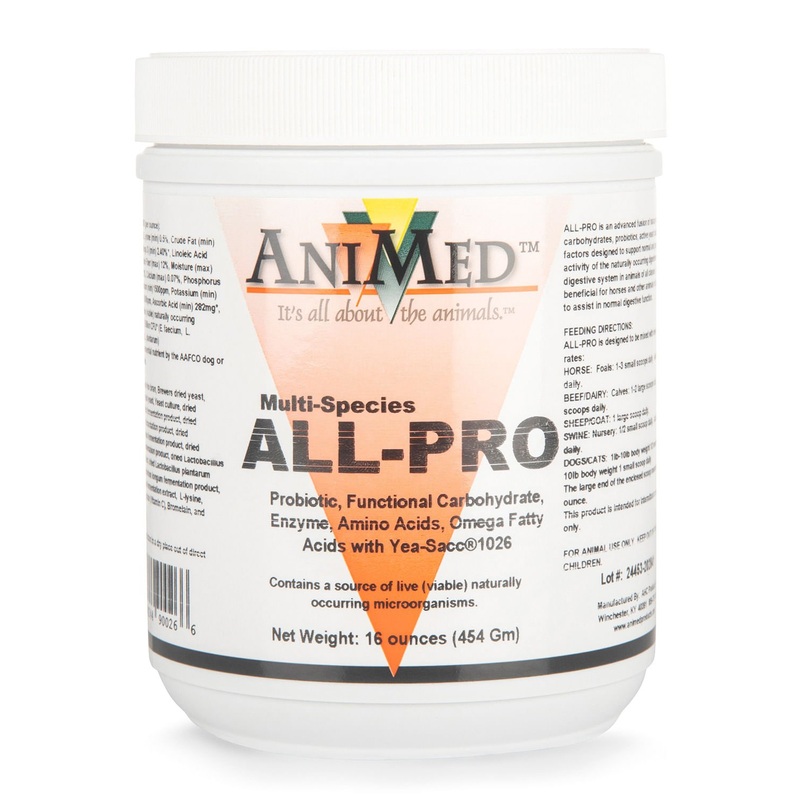 Animed Multi-Species ALL-PRO