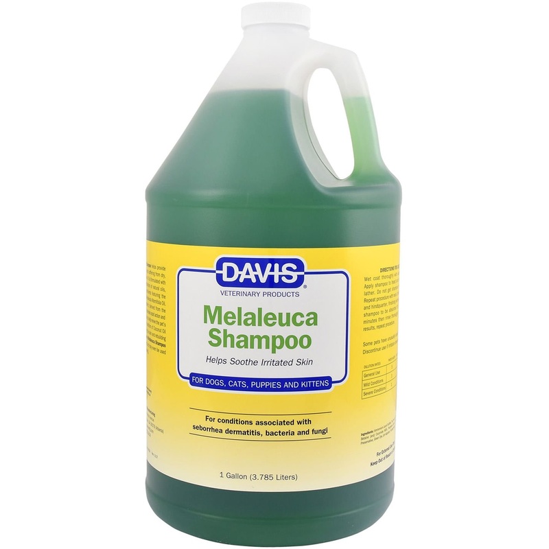 Davis Melaleuca Shampoo for Dogs and Cats