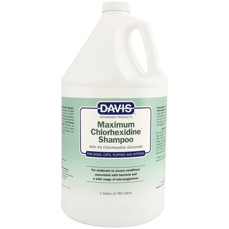 Davis Maximum Chlorhexidine (4%) Shampoo