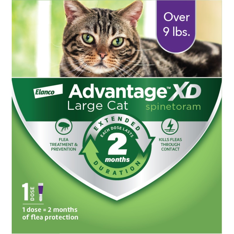 Advantage XD Topical Flea Protection for Large Cats, 1 Pk