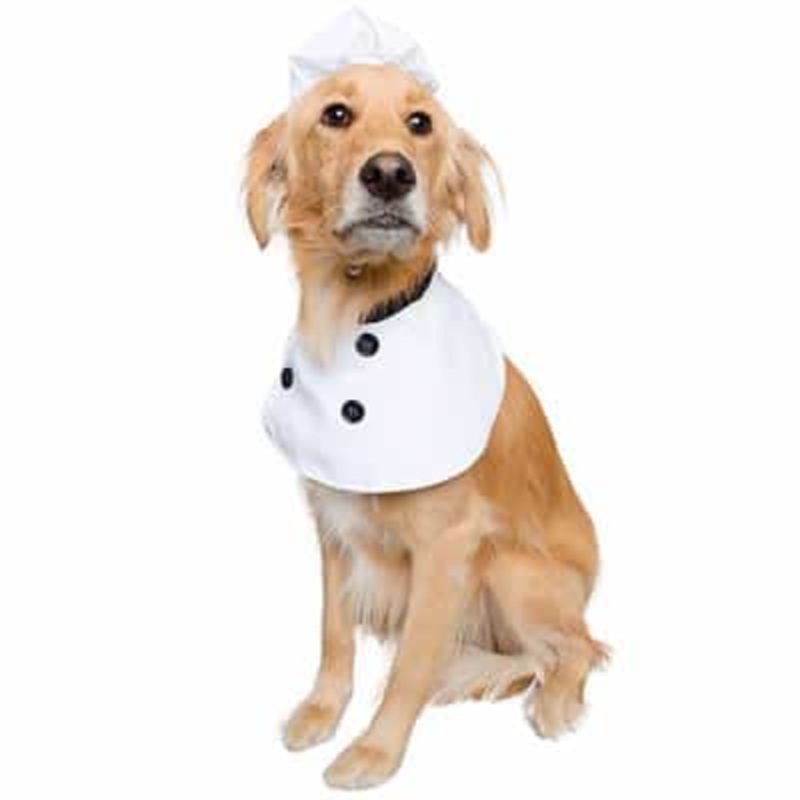 Pet Krewe Chef Costume