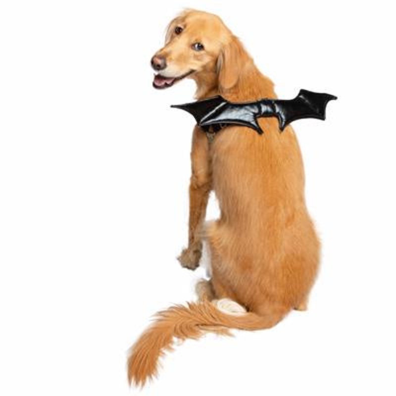 Pet Krewe Bat Wing Costume