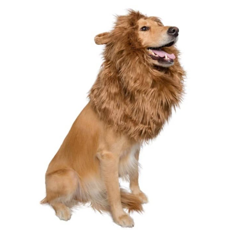 Pet Krewe Lion Mane Costume