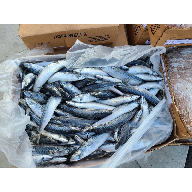 Ross-Wells Whole Mackerel