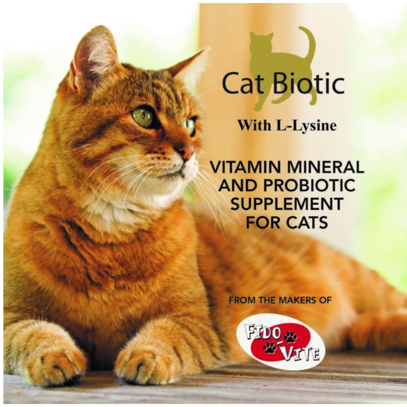 Cat Biotic
