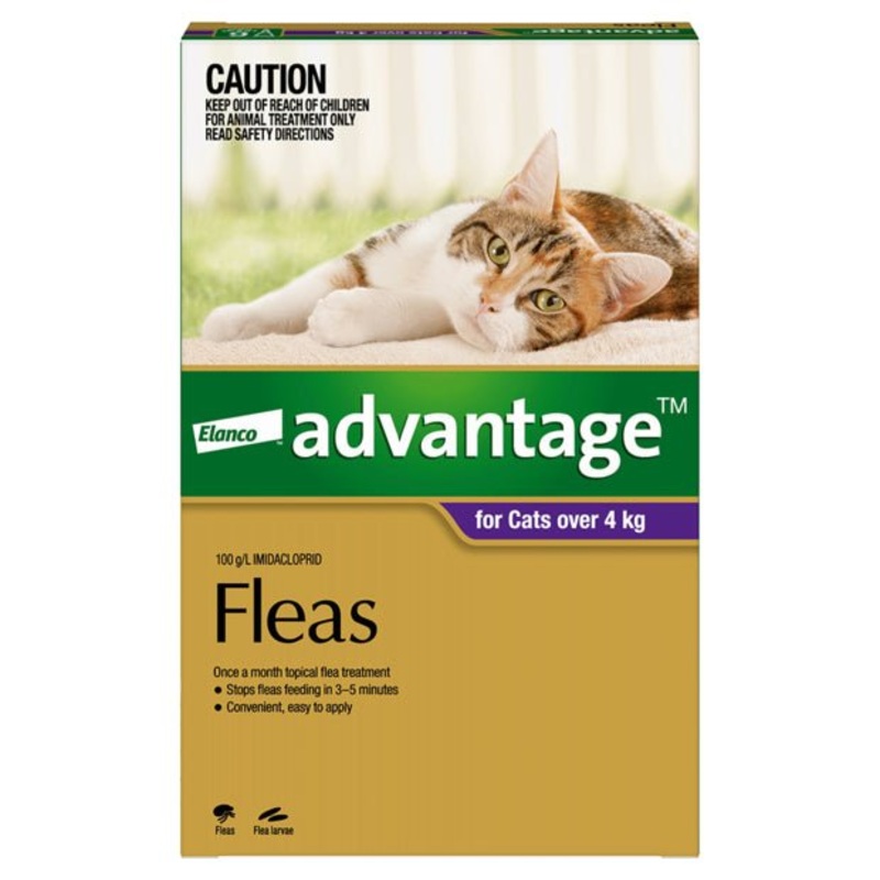 Advantage Cat Over 4kg Purple