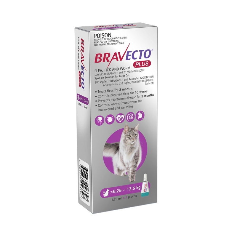 Bravecto Plus Cat 6.25kg - 12.5kg