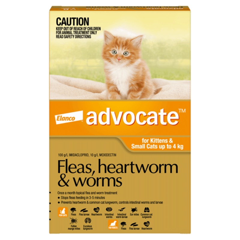 Advocate Cat 0-4kg Orange