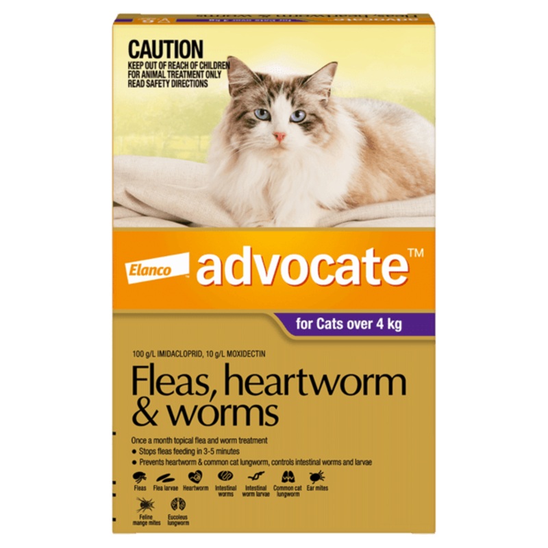Advocate Cat Over 4kg Purple
