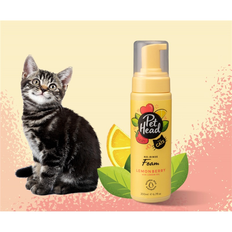 Pet Head Felin' Good No Rinse Cat Foam