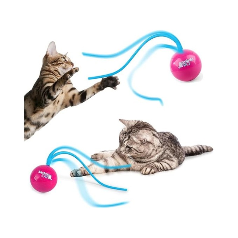 AFP Modern Cat - Whirling tail