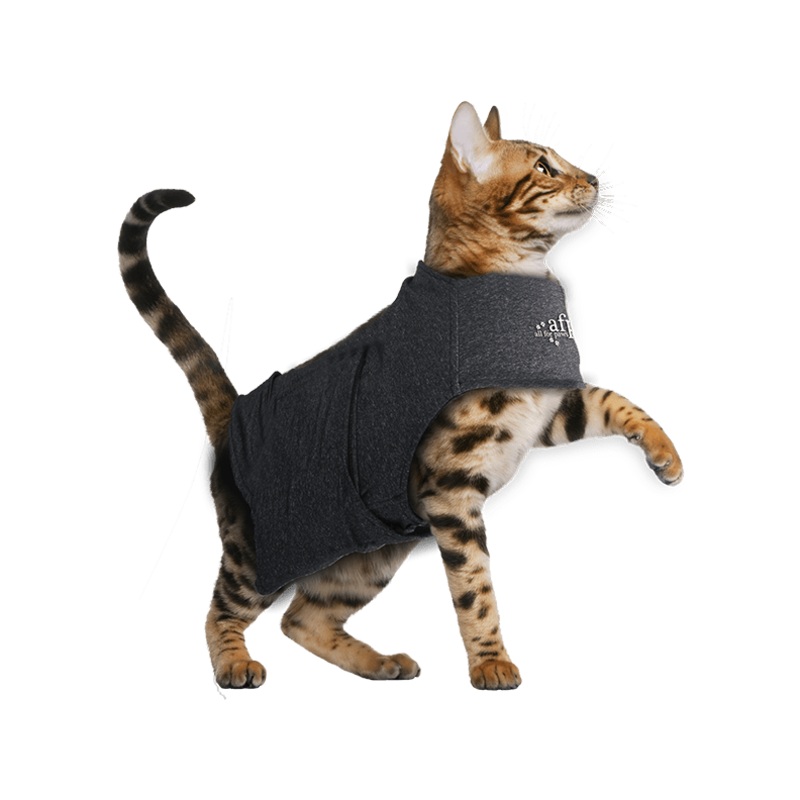 AFP Calming Pals-Cat Anti Anxiety Vest