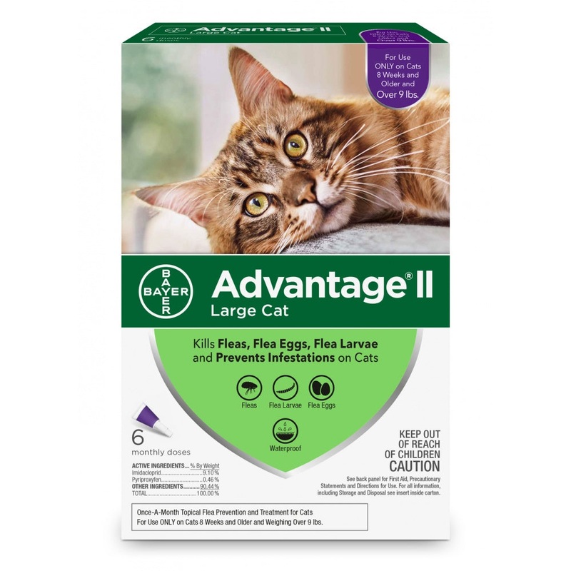 Elanco Advantage II Large Cat
