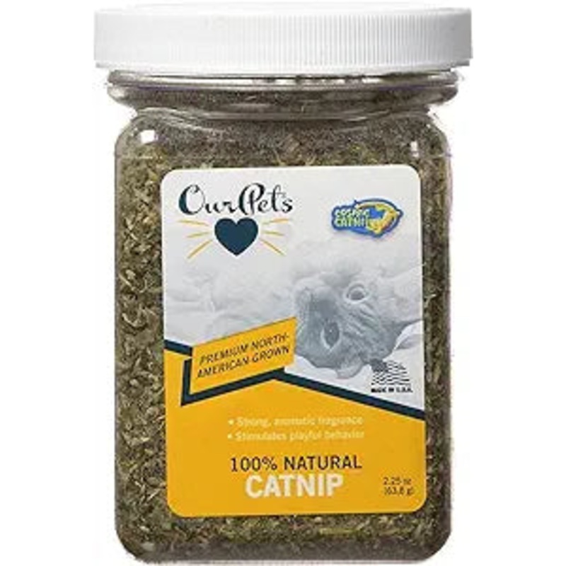 Cosmic CatNip Cup