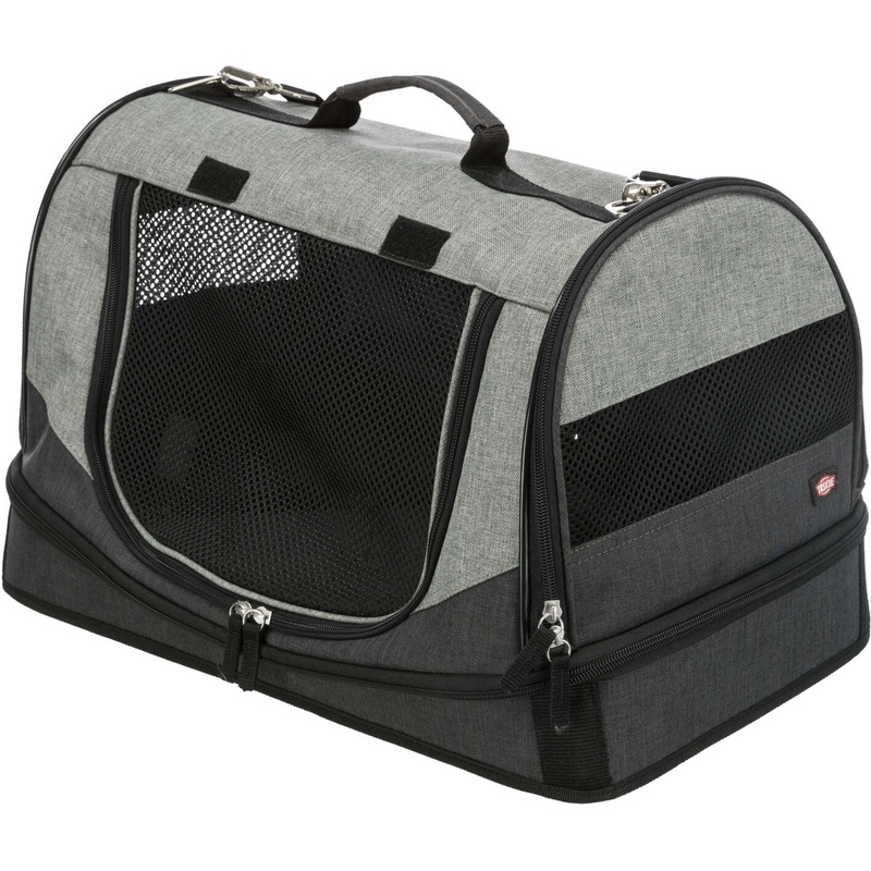 Airline Carrier Holly