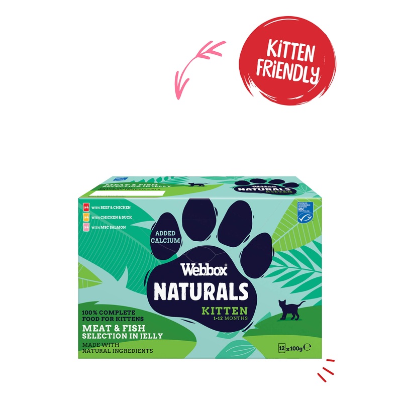 Webbox Natural Kitten in Jelly Selection, 12 Pack
