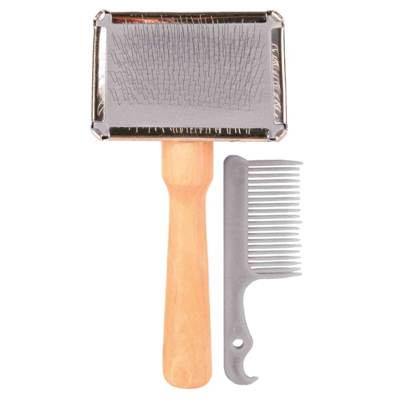 Soft Brush With Brush Cleaner