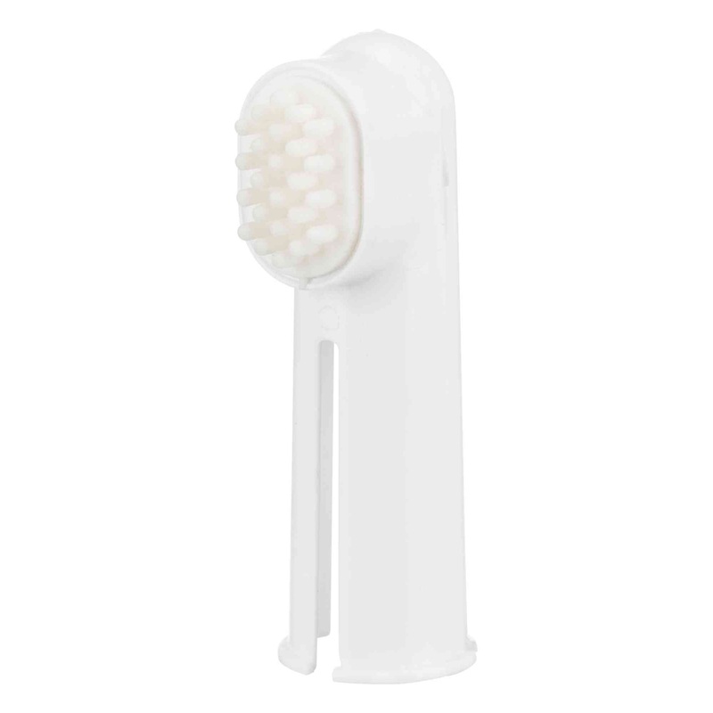 Toothbrush Set