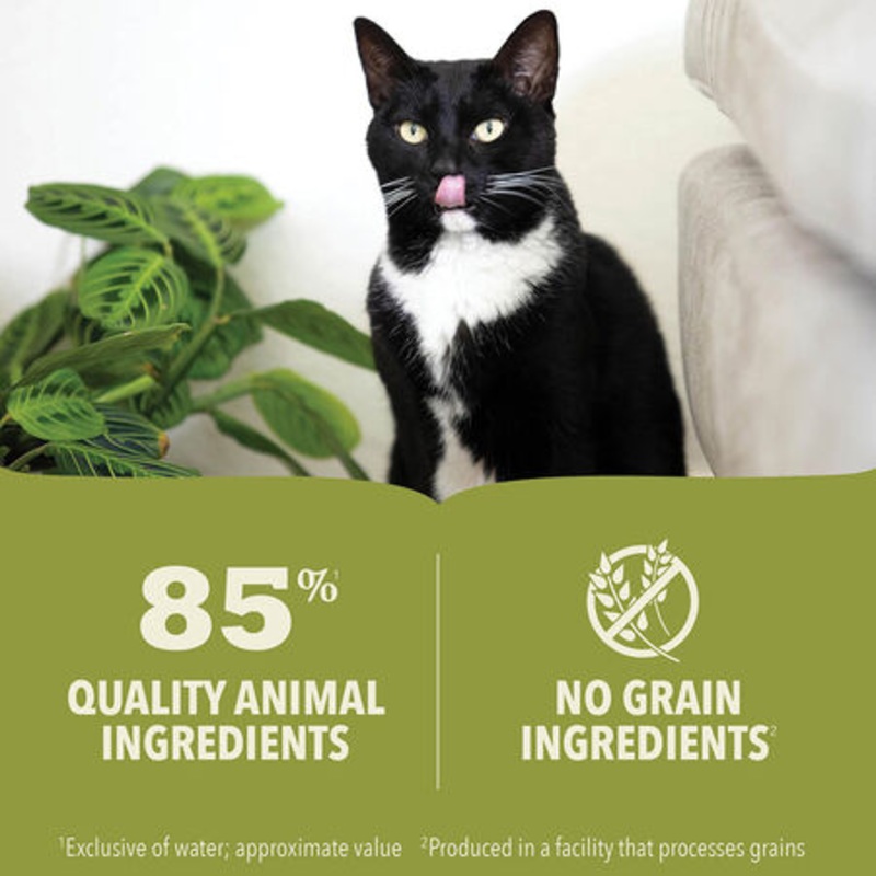 ACANA Premium Pt, Beef, Chicken & Tuna Recipe Wet Cat Food