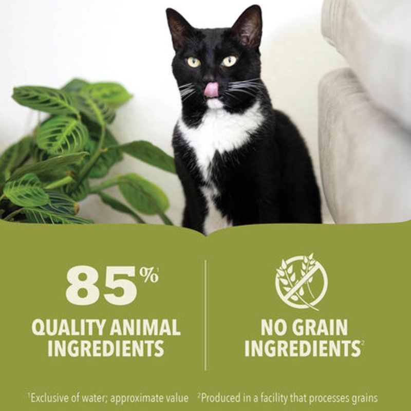 ACANA Premium Pt Chicken & Tuna Kitten Recipe Wet Cat Food