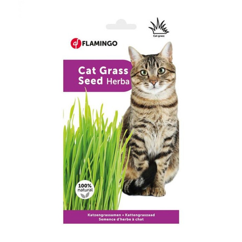 Flamingo Cat Grass