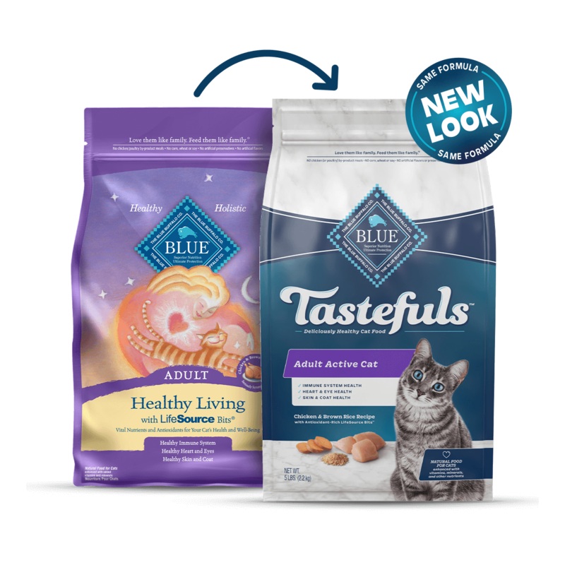 Blue Buffalo Healthy Living - All Breeds, Adult Cat Chicken and Brown Rice Recipe Dry Cat Food