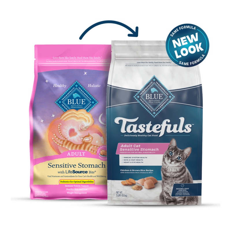 Blue Buffalo Sensitive Stomach - Adult Cat Chicken and Brown Rice Recipe Dry Cat Food