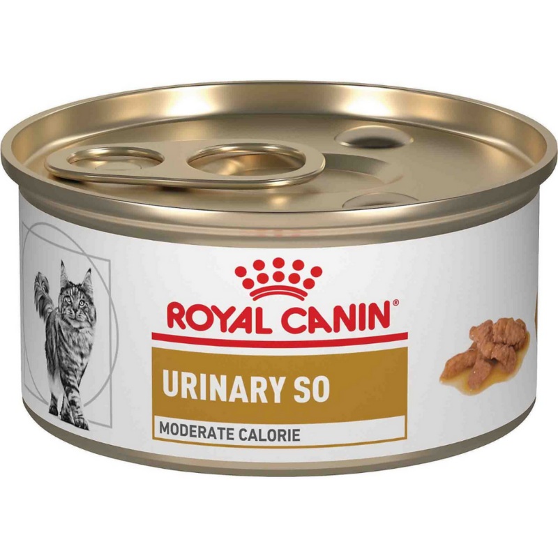 Royal Canin Veterinary Diet - Urinary SO, Moderate Calorie Morsels in Gravy Canned Cat Food